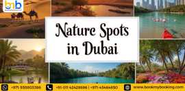 Ultimate Guide to Nature Spots in Dubai, Dubai