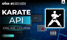 Karate API Training Institute in Gurgaon, Noida