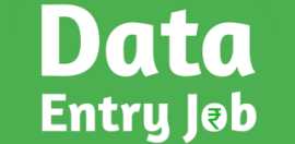 Earn minimum 30k in Data US Medical Form Filling project 7708244092, ₹ 30,000, Bengaluru