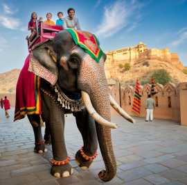 Visit Elephant Sanctuary in Jaipur for a Memorable, Jaipur