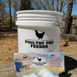 Chicken Feeder Ports, West Bridgewater