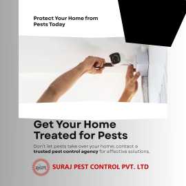 Get your Home Treated for Pests by a Good Pest Con, Noida