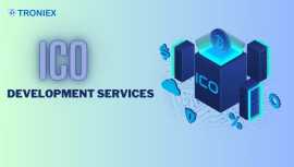Key Features of Professional ICO Development Servi, Madurai