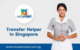 Find the Best Transfer Helper for Your Needs, Bukit Timah