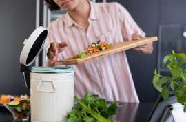 Indoor Composter, Tomball