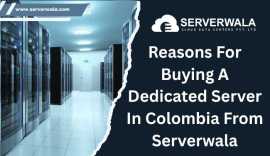 Reasons For Buying A Dedicated Server in Colombia, Malambo