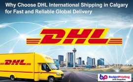 Fast & Reliable International Courier Service, Calgary