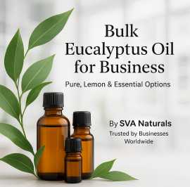 Bulk Eucalyptus Oil for Business, $ 12
