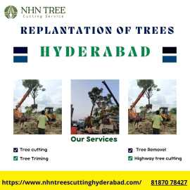 Replantation of Trees In Hyderabad, Hyderabad