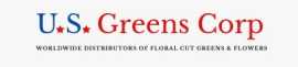Fresh Greenery Wholesale – Direct to Your Floral B, Miami