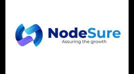 Custom Website Development Services NodeSure , Jaipur