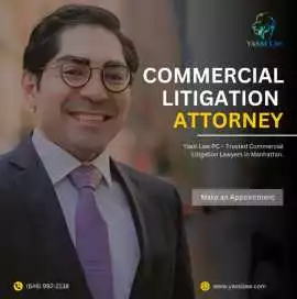 Get Expert Legal Support for Business Disputes., Brooklyn