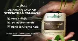Elevate Your Performance with Shilajit Resin, Noida