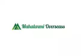 Silver Skin Onion Mahalaxmi Overseas Premium Quali, Mumbai
