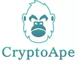 Launch Your CoinPayments Clone Script - CryptoApe, Madurai