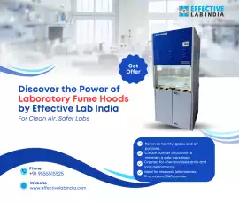 Top Quality Laboratory Fume Hoods by Effective Lab, Faridabad