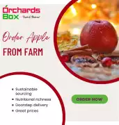 Order Apples from Farm, Shimla