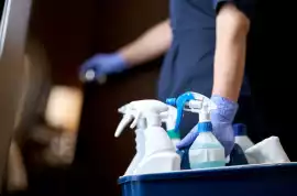 Top-Rated Cleaning Companies in Copenhagen, Vangede