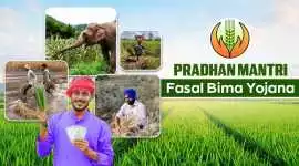 Advantages of Pradhan Mantri Fasal Bima  , Noida