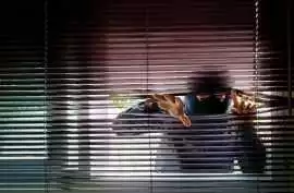 Trusted Detective Agency in Bangalore, Noida