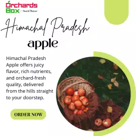  Buy Himachal Apple from Orchards Box, Shimla