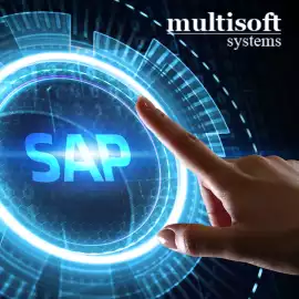 Master SAP S4HANA Transportation Management (TM), Noida