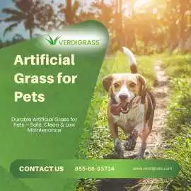 Durable Artificial Grass for Pets , Sunnyvale