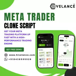 MetaTrader Clone Script by Hivelance, Bukit Timah