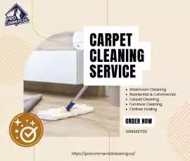 Trusted Carpet Cleaning Company in Hamilton , Ailsa Craig