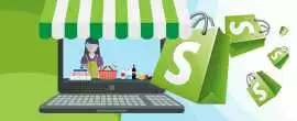 Affordable Shopify Design and Development Services, New Delhi