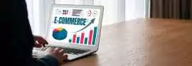  Affordable eCommerce PPC Management Services to B, Mohali