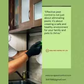 Best Option for Pest Control in Faridabad, Faridabad
