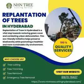 Replantation of Trees in Hyderabad – Saving Trees, Hyderabad