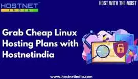 Grab Cheap Linux Hosting Plans with Hostnetindia , Jaipur