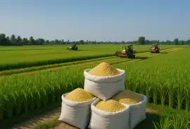 Best Indian Rice Exporters in India, Delhi