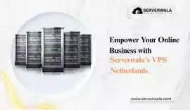 Empower Your Business Serverwala VPS Netherlands, Jaipur