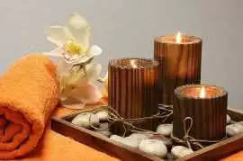 Palm Tree Professional Unisex Spa, Noida