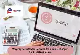 Why Small Businesses Need Payroll Software, Mississauga