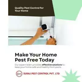 Make Pest Free Home with Quality Pest Control serv, New Delhi