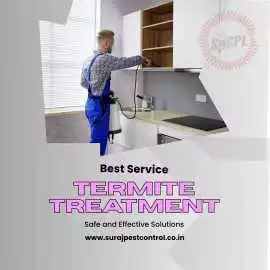 Book Best Termite Treatment Service in Faridabad, Faridabad
