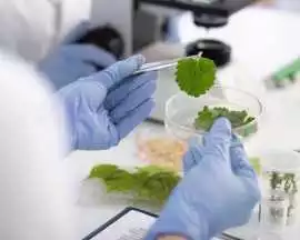Biotechnology Colleges in Lucknow, $ 0