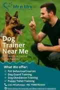 Dog Trainer Near Me, Bengaluru