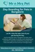 Day Boarding for Pets in , Bengaluru