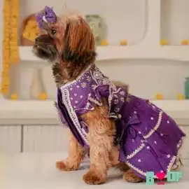 Dress Your Pup for Rakhi in Handpicked Dog Clothes, New Delhi