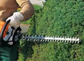 Expert Tree Care Services in Belfast, $ 0