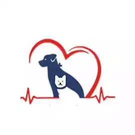 Pet Vet Go Pet Hospital - Vaishali , Jaipur