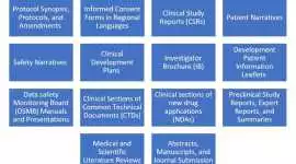 Medical Writing Services, New York