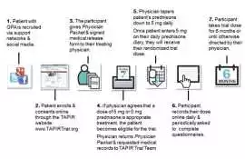Patient Recruitment Services, New York