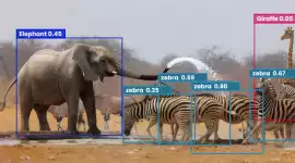 AI-Powered Computer Vision for Zoo Management, Mississauga