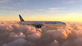 United Airlines Pet Policy: Complete Guide to Pet